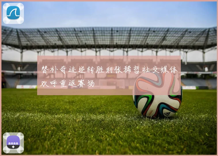 替补奇迹逆转胜利张稀哲社交媒体欢呼重返赛场